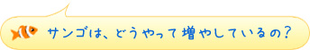 サンゴは、どうやって増やしているの？