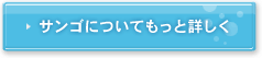 サンゴについてもっと詳しく