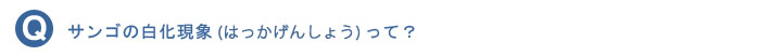 サンゴの白化現象（はっかげんしょう）って？